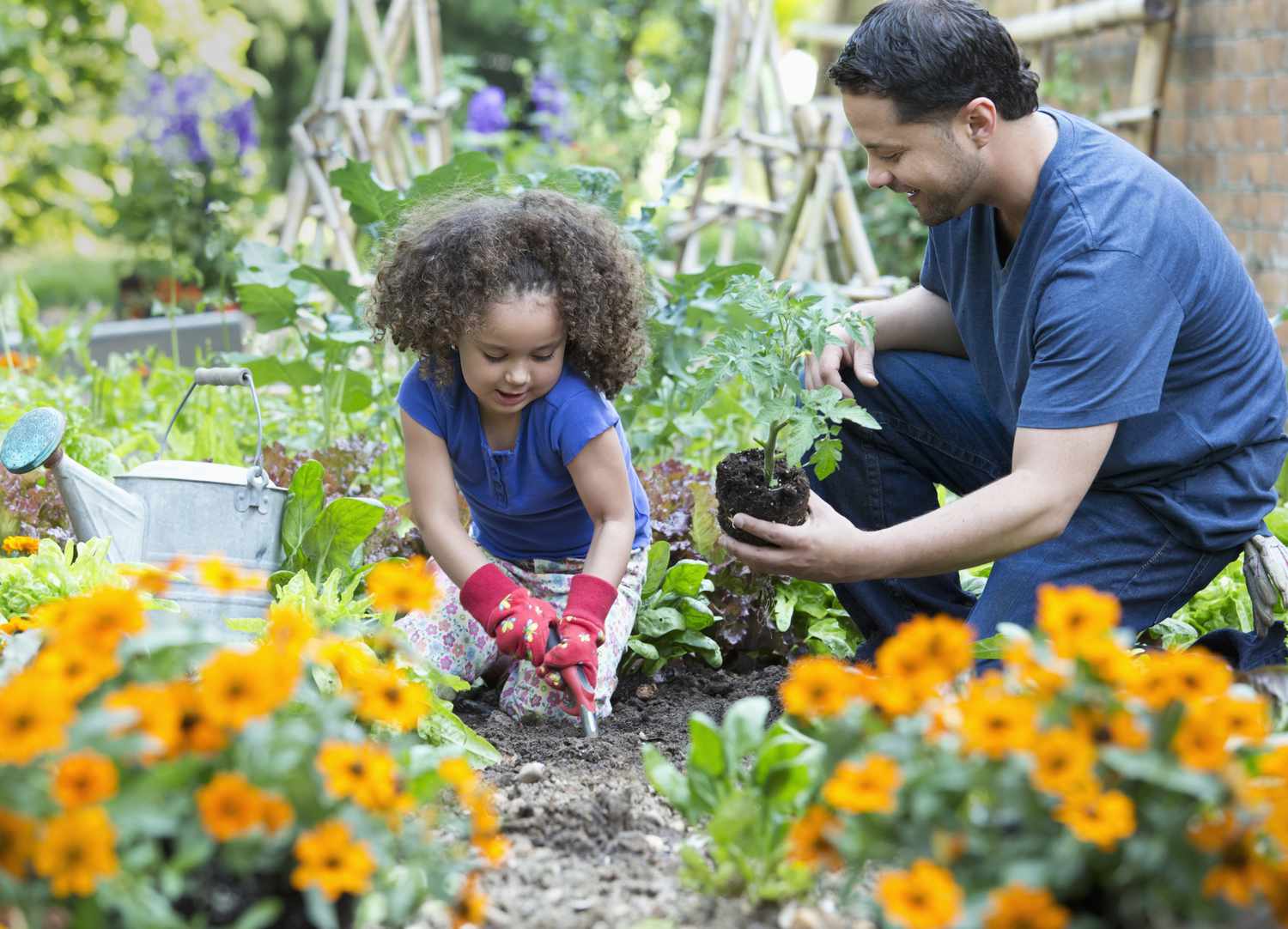 Gardening care services to get your outside area looking good for summer